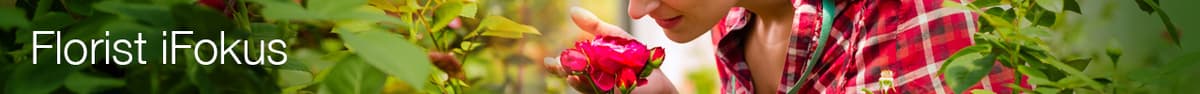 Florist